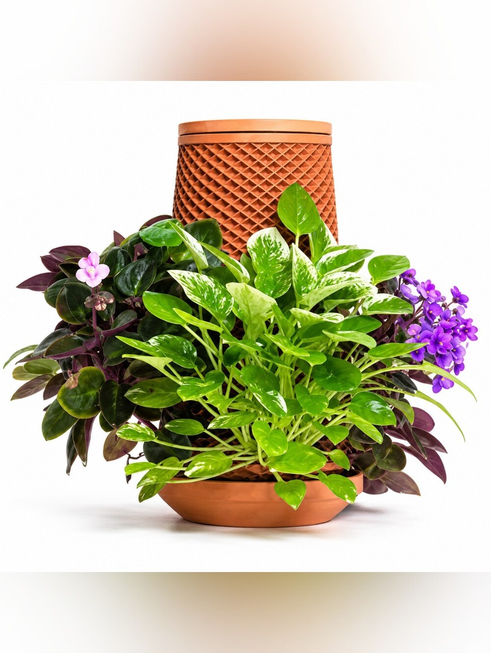 Tevaplanter – Self-Watering Indoor Planter